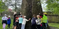 Путешествие в мир природы